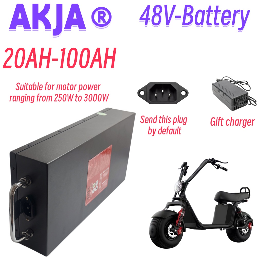 Luftschneller Transport, 48 V, – 60V 50Ah Electric Scooter Battery Bewertung und Preis