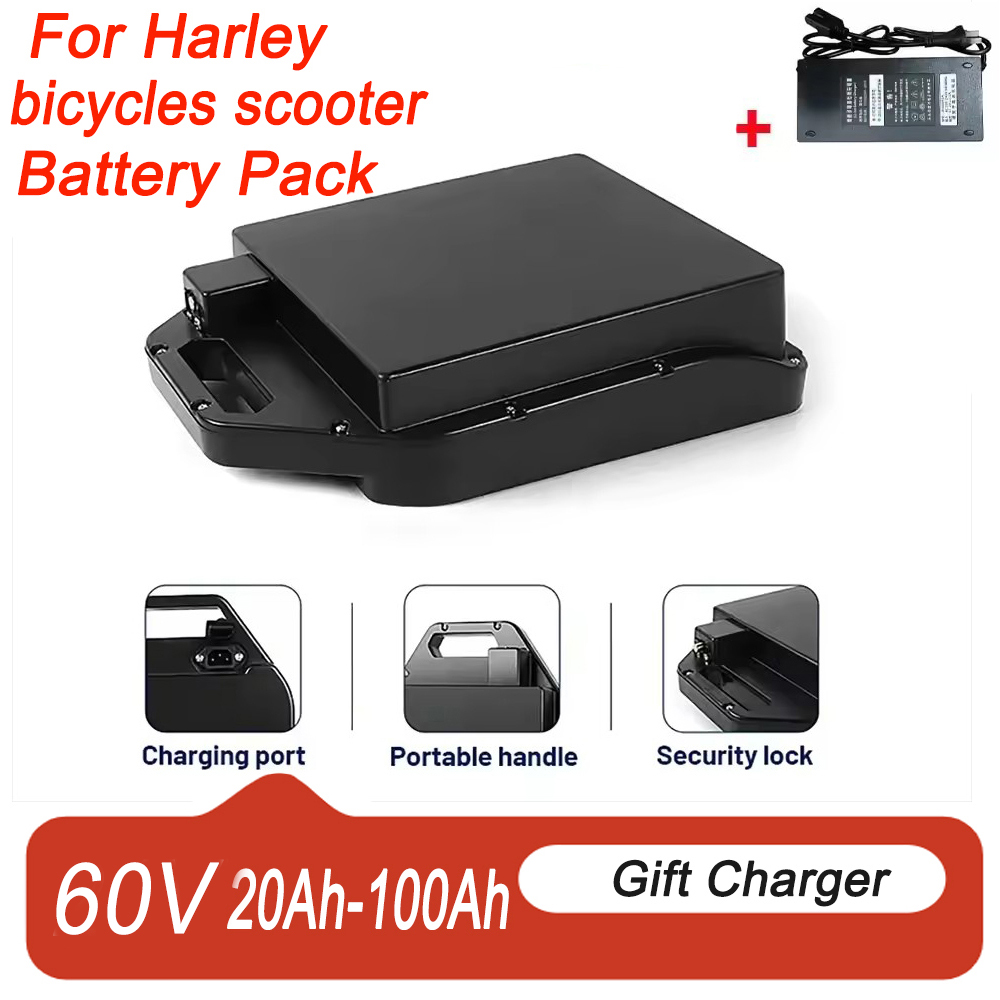 Lithium-Batterie für Elektrofa – 60V 50Ah Electric Scooter Battery Bewertung und Preis